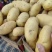 湖北精品黄心土豆大量上市品质保证量大从优一手货源