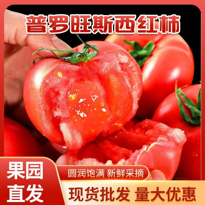 普罗旺斯水果番茄一件代发基地源头一手