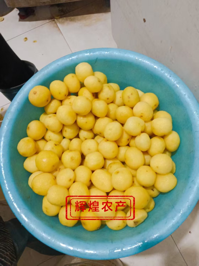 2026新鲜直发黄心油炸神农架炕小土豆迷你土豆各种大小