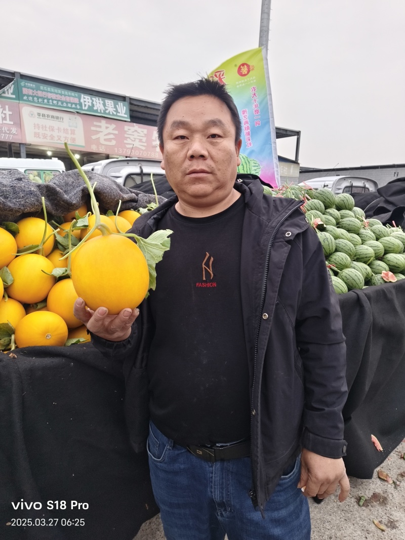 九瑞红甜瓜