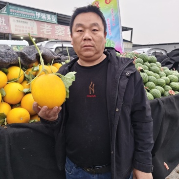 九瑞红甜瓜