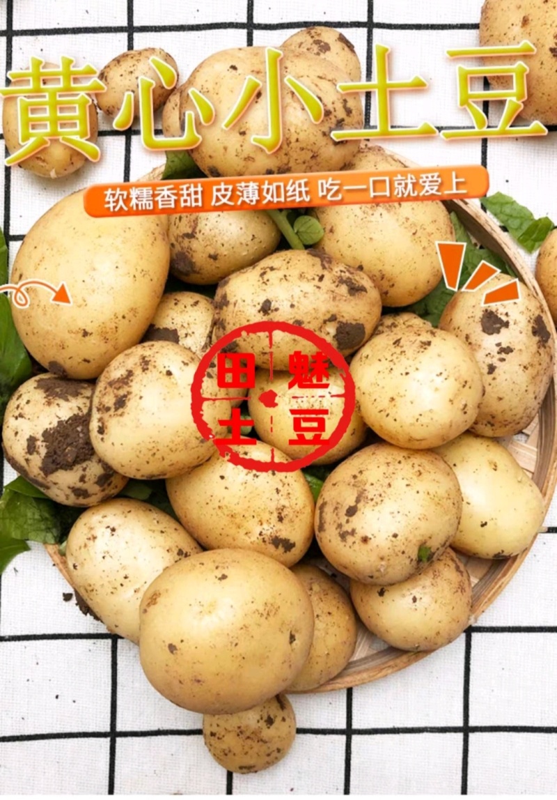 2026新鲜现发油炸烧烤炕小土豆专用迷你土豆各种大小大量