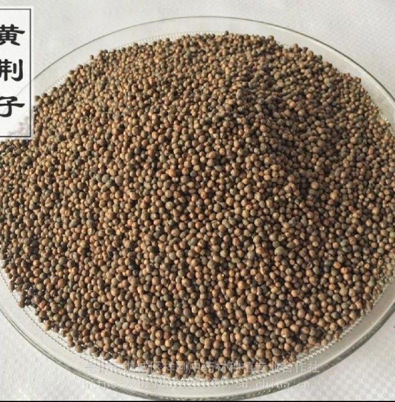 黄荆子，牡荆子，布荆子干净无疏保正正品，需要的老板放心下