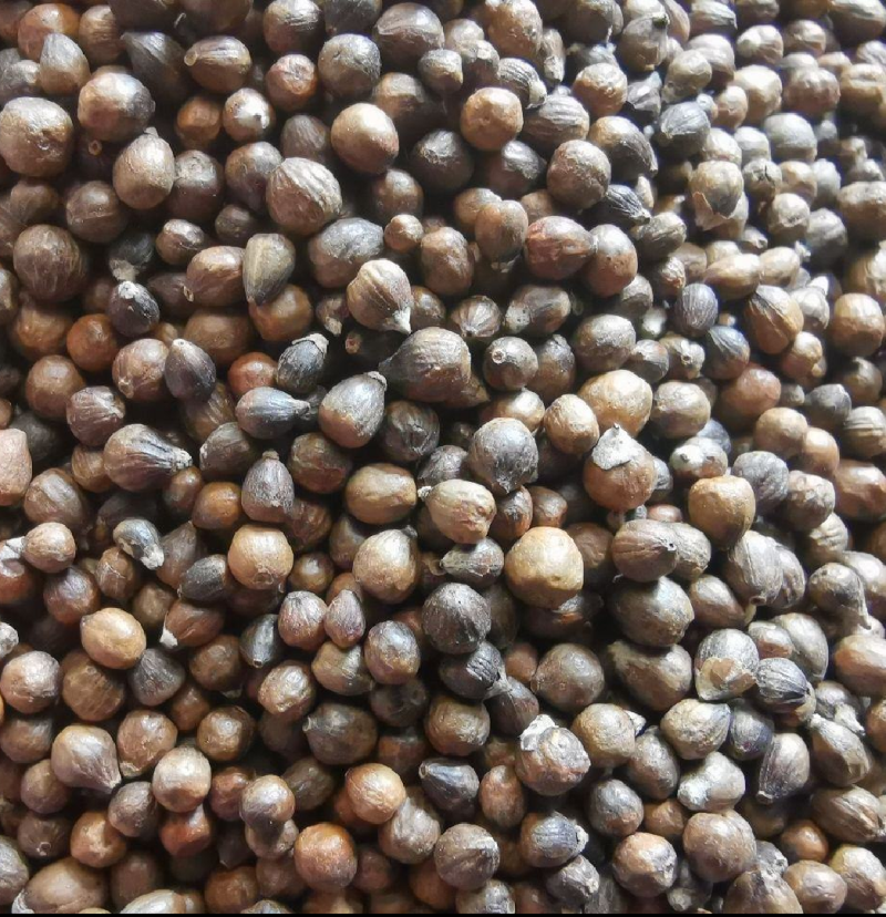 黄荆子，牡荆子，布荆子干净无疏保正正品，需要的老板放心下