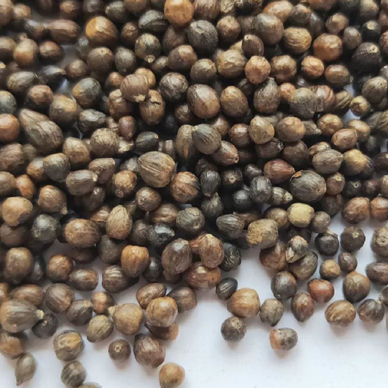 黄荆子，牡荆子，布荆子干净无疏保正正品，需要的老板放心下