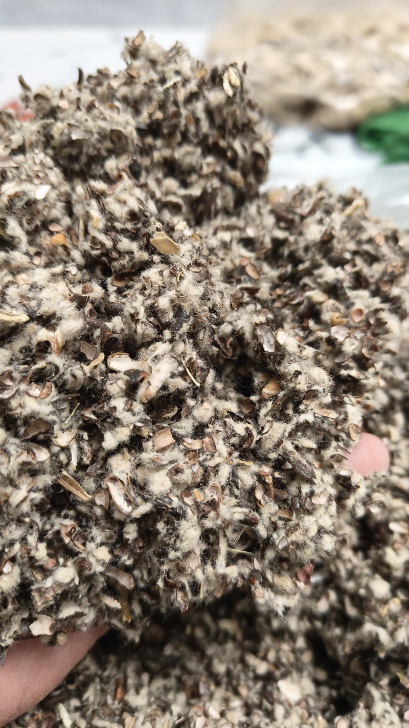 棉籽壳厂家直销产品质量杠杠滴优质棉籽壳每天发货装车中