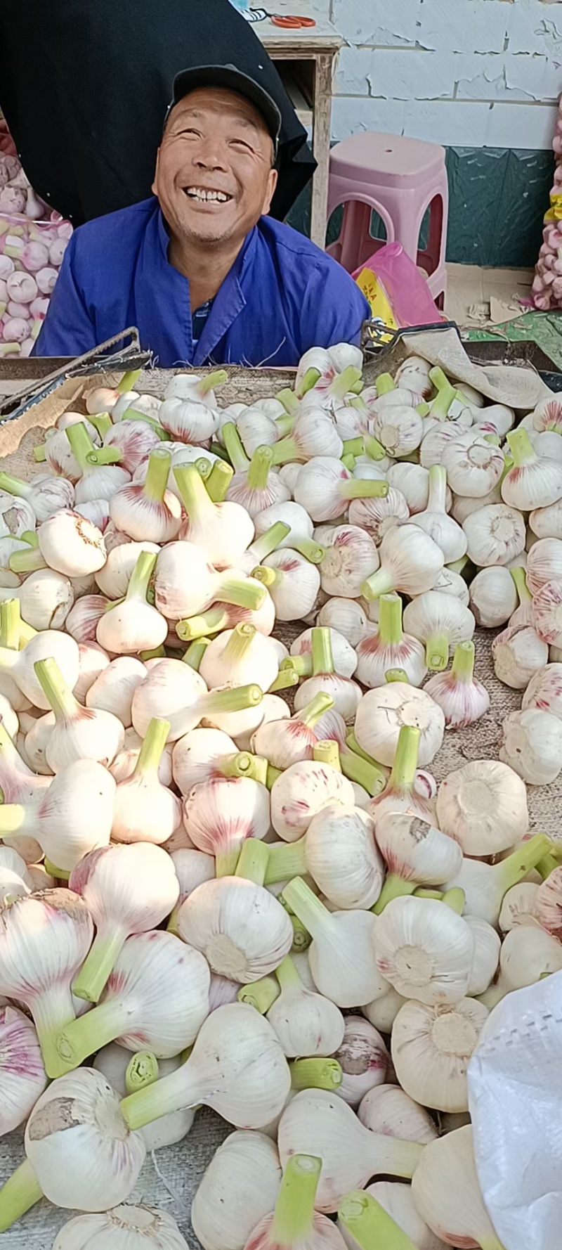 新鲜大蒜毛蒜2025新鲜大蒜头，去皮大蒜，代发全国