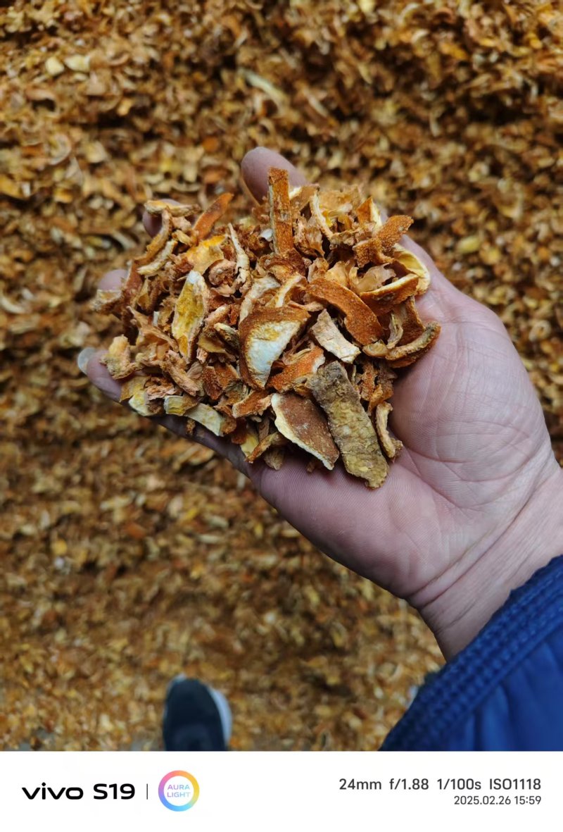 陈皮无硫橙渣用于调味品厂药材厂大量现货欢迎订购