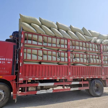 广东出售软包稻壳整车发货养殖基地