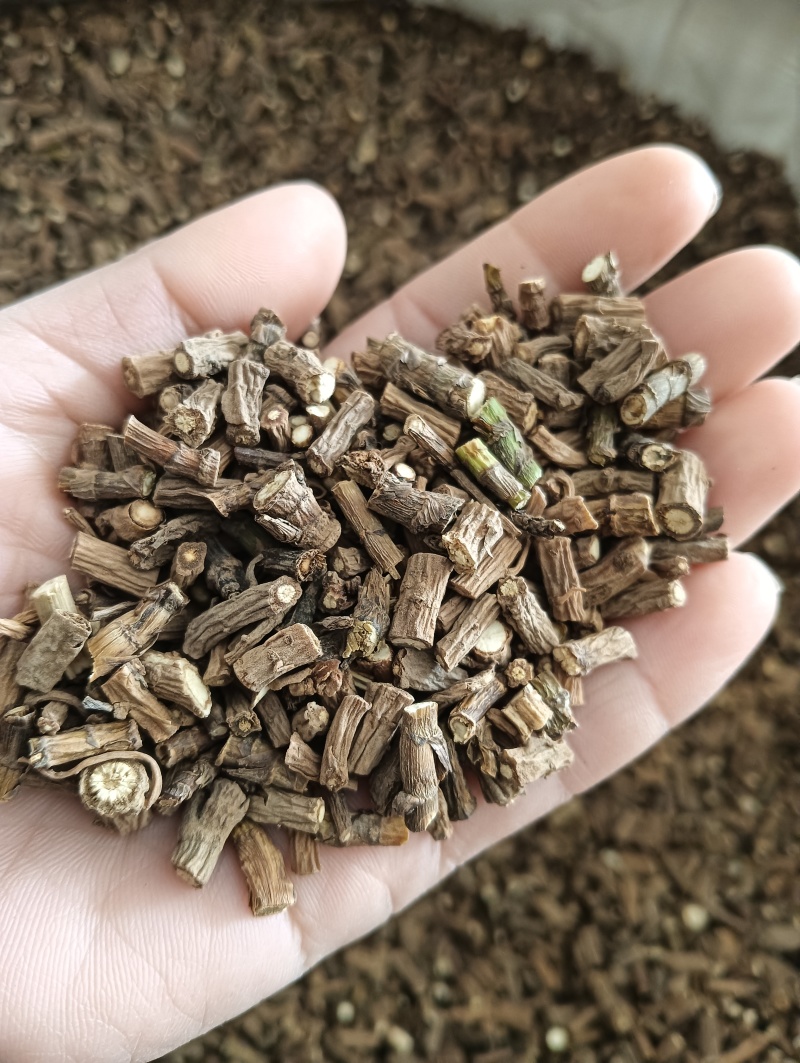柴胡藏柴胡甘肃柴胡实拍产地一手货源量大优惠
