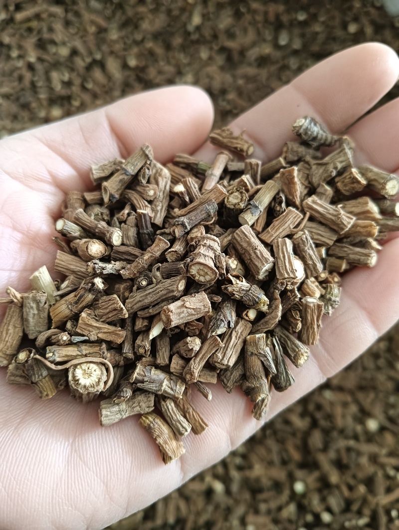 柴胡藏柴胡甘肃柴胡实拍产地一手货源量大优惠