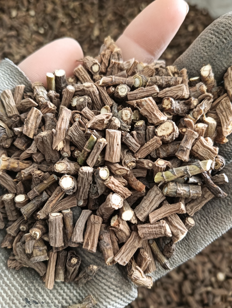 柴胡藏柴胡甘肃柴胡实拍产地一手货源量大优惠