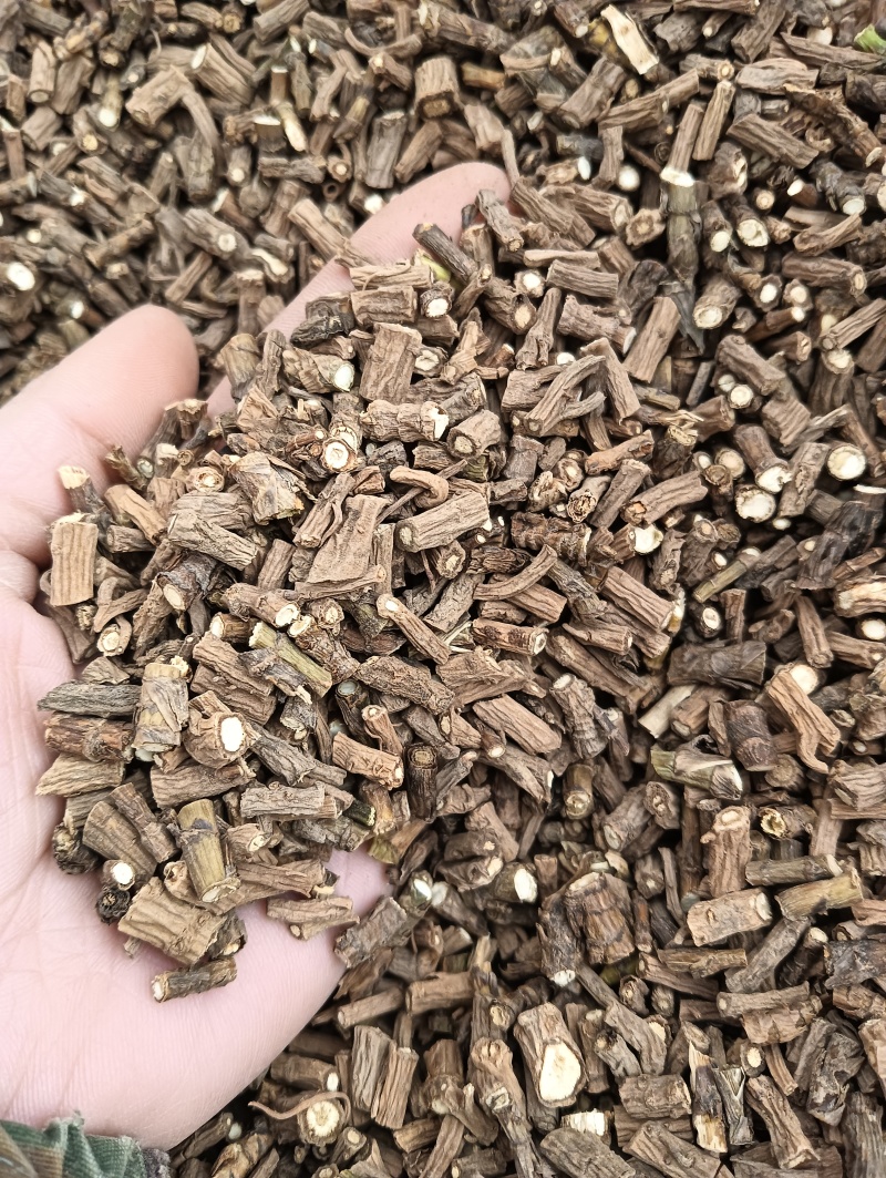 柴胡藏柴胡甘肃柴胡实拍产地一手货源量大优惠