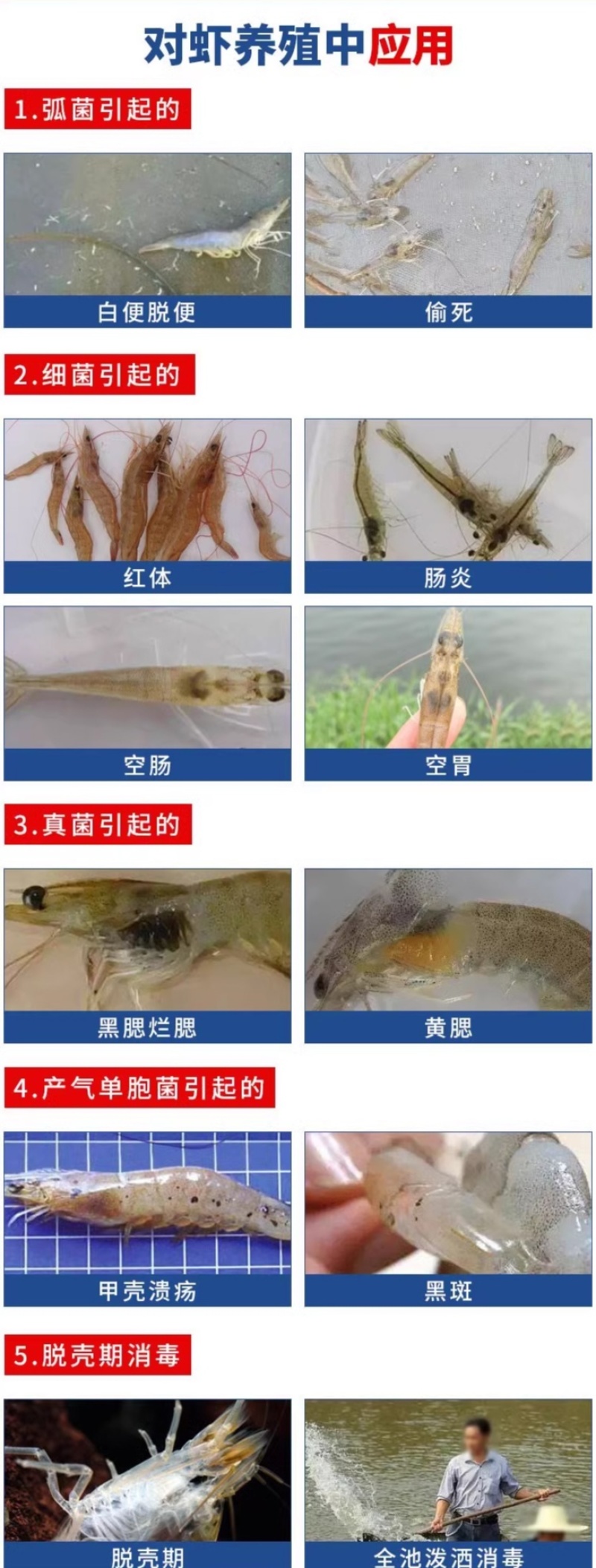 纳米银弧菌克星水产专用防治肠炎白便烂身烂尾细菌真菌病菌