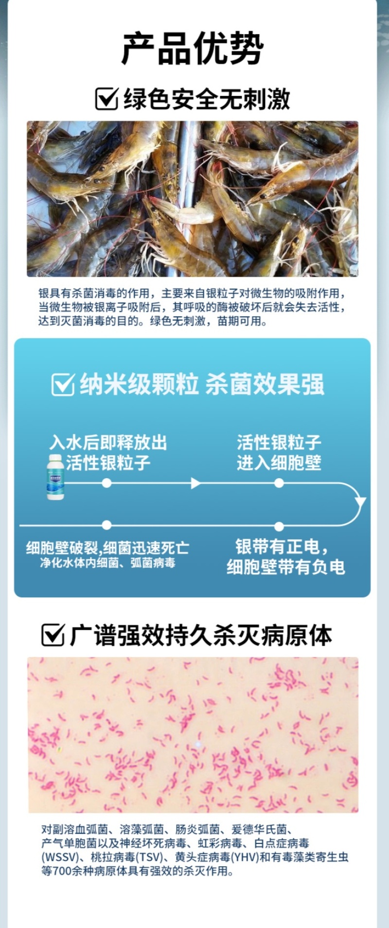 纳米银弧菌克星水产专用防治肠炎白便烂身烂尾细菌真菌病菌