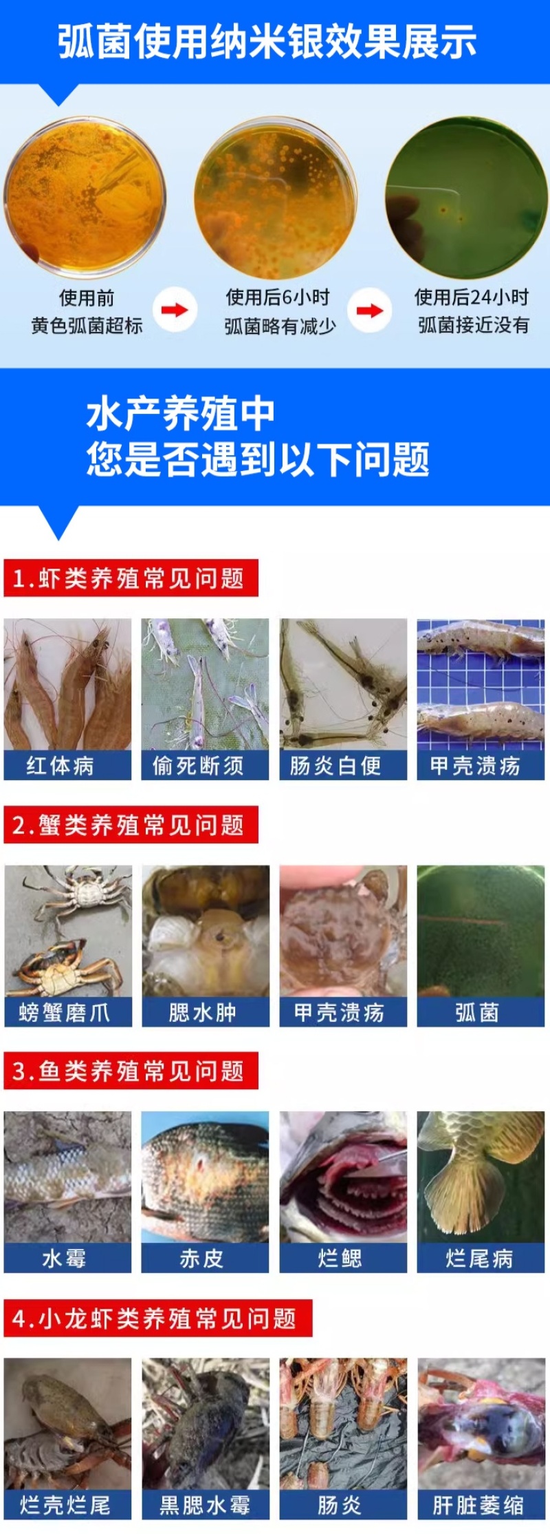 纳米银弧菌克星水产专用防治肠炎白便烂身烂尾细菌真菌病菌