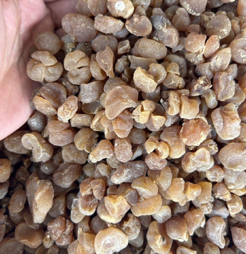 土贝母做药材我们只做正品，一千多个品类的中药材可供选择