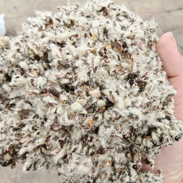 磨盘棉籽壳,中壳中绒棉籽壳厂家直销产品,新老客户下单即可