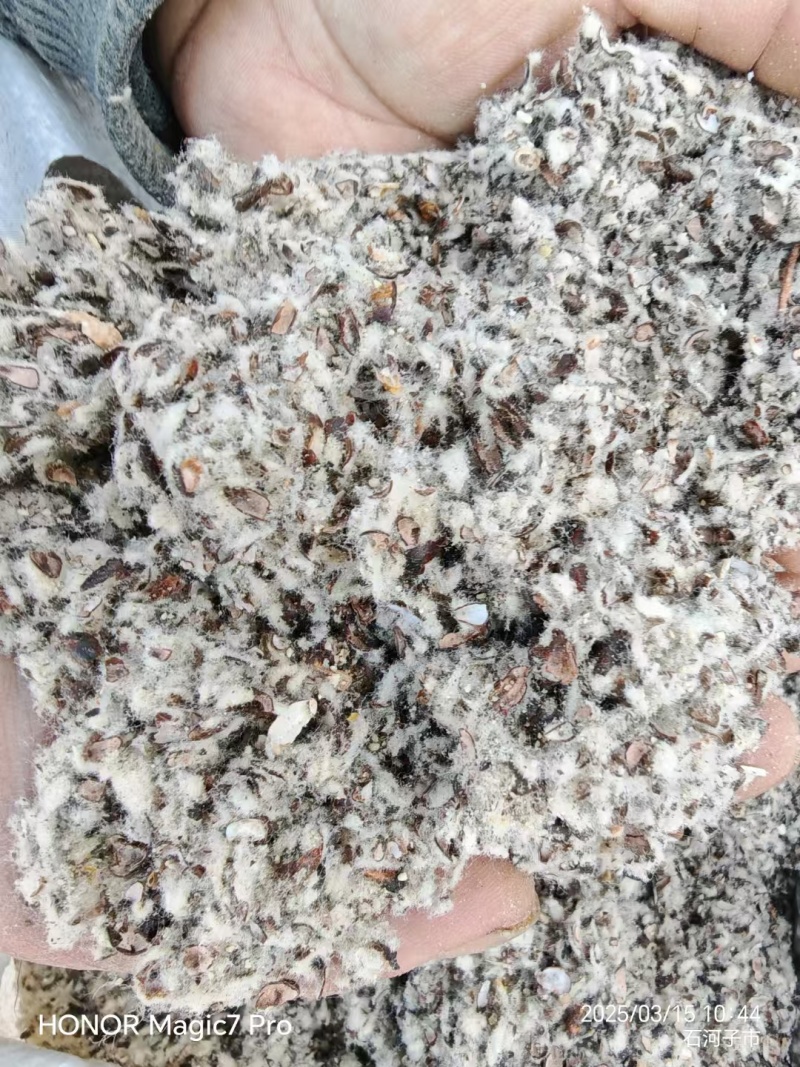 磨盘棉籽壳，中壳中绒棉籽壳厂家直销产品，新老客户下单即可