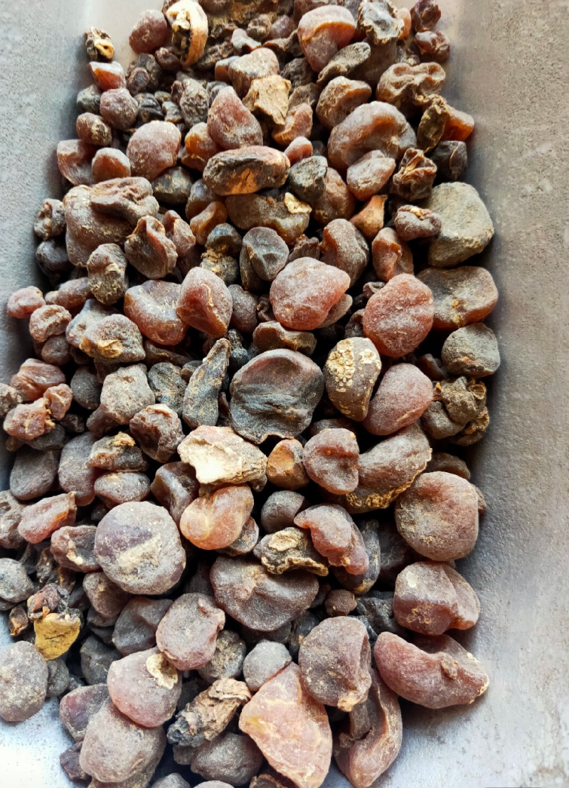 土贝母做药材我们只做正品，一千多个品类的中药材可供选择