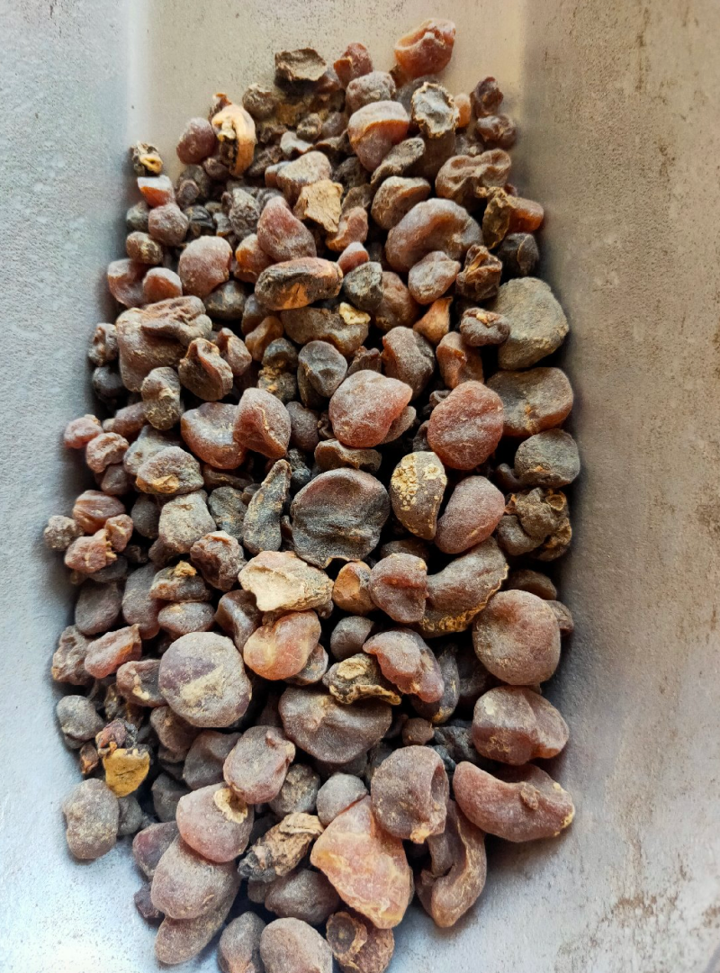 土贝母做药材我们只做正品，一千多个品类的中药材可供选择