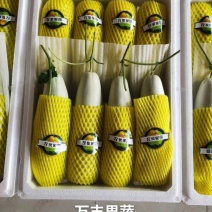 山东滨州博洋61万亩基地直销对接电商超市可视频看货