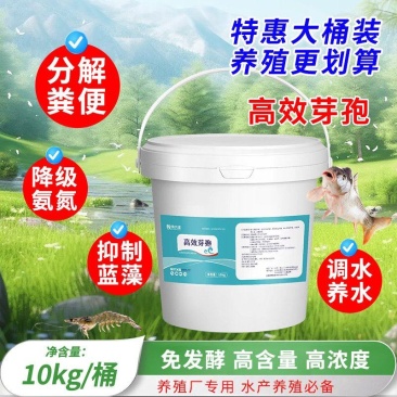 高效芽孢净水调水降解氨氮分解粪便水产养殖益生菌改底除臭