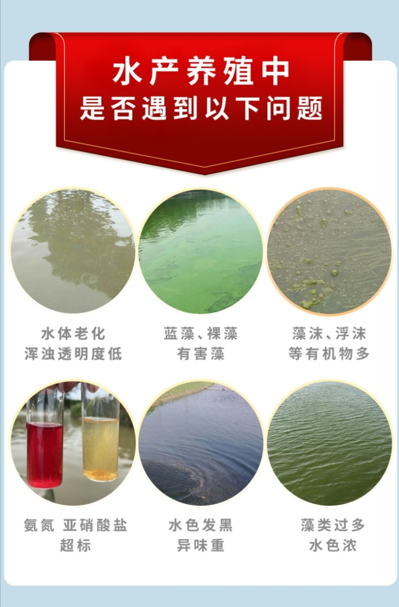 高效芽孢净水调水降解氨氮分解粪便水产养殖益生菌改底除臭
