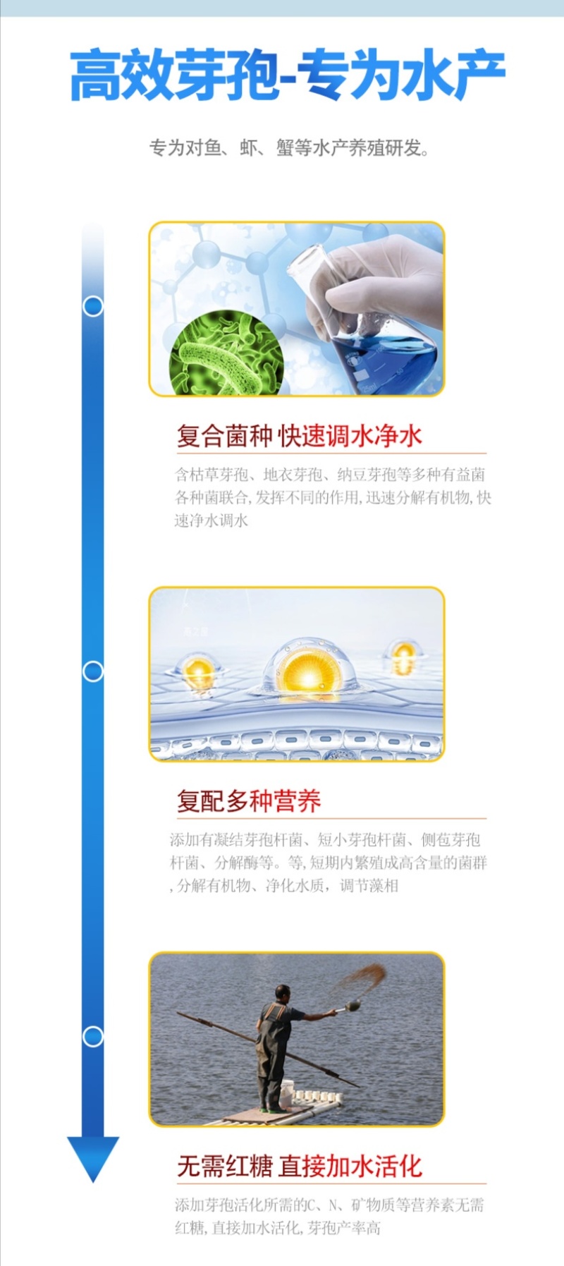 高效芽孢净水调水降解氨氮分解粪便水产养殖益生菌改底除臭