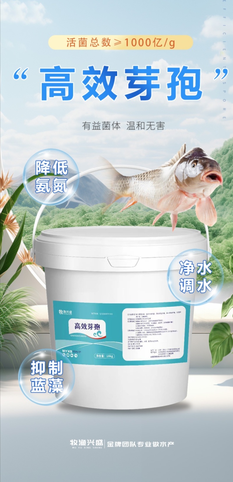 高效芽孢净水调水降解氨氮分解粪便水产养殖益生菌改底除臭