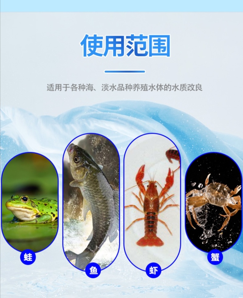 高效芽孢净水调水降解氨氮分解粪便水产养殖益生菌改底除臭