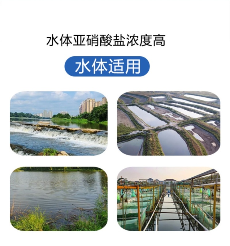 亚硝速克水产养殖专用净化水质鱼虾蟹塘降解亚盐