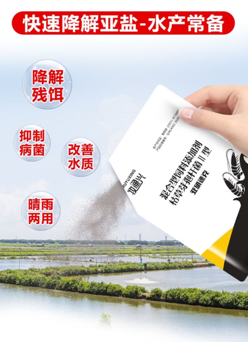 亚硝速克水产养殖专用净化水质鱼虾蟹塘降解亚盐