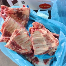 多肉猪小排，新货到了，颜色鲜亮，全国发货