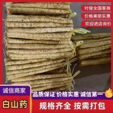精品粗货新鲜河北小白嘴白山药新鲜小白嘴山药产地直发