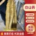 精品粗货新鲜河北小白嘴白山药新鲜小白嘴山药产地直发