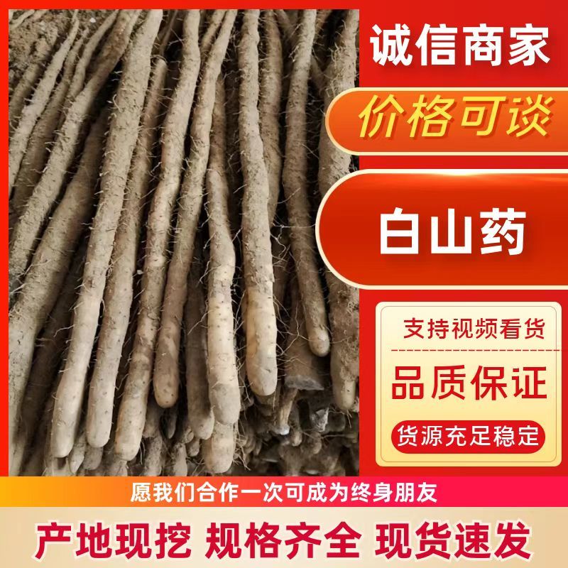 精品粗货新鲜河北小白嘴白山药新鲜小白嘴山药产地直发