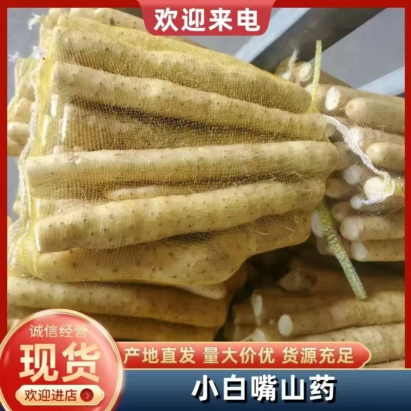 精品粗货新鲜河北小白嘴白山药新鲜小白嘴山药产地直发