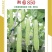 湘园850黄瓜种子，早熟好，商品性佳，口感棒！