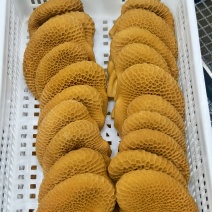卤味熟食产品包含牛猪鸡鸭