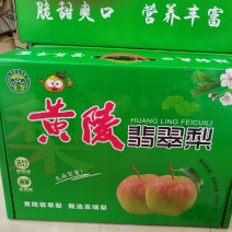 黄陵翡翠梨