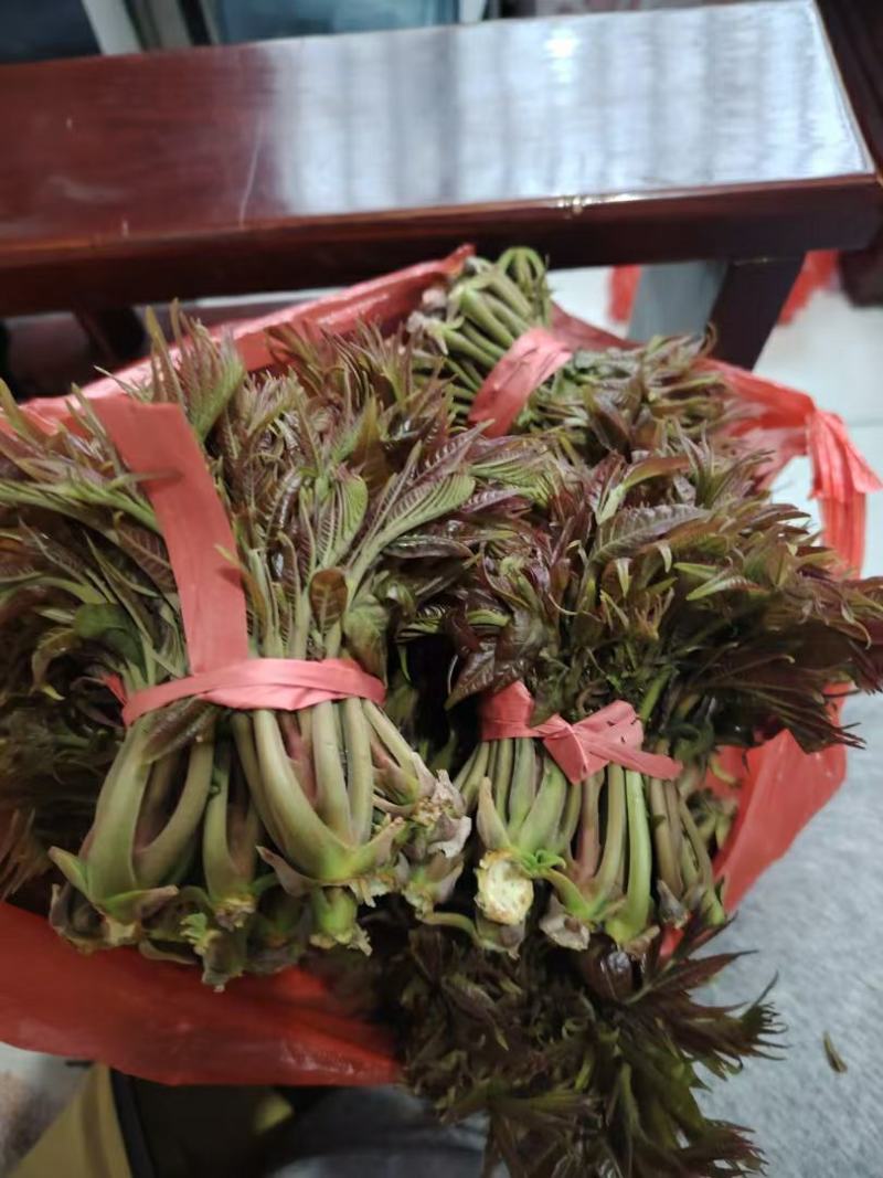 新泰市放城镇马家寨子，露天香椿已上市，需要的联系