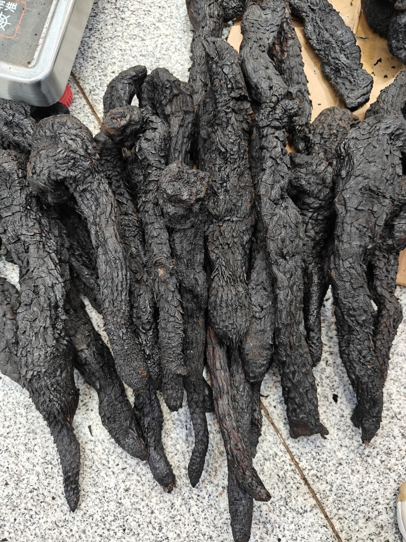 新疆肉苁蓉个整条肉苁蓉无硫蒸制甜大芸各种规格大小
