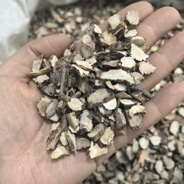 石菖蒲湖北产地货源大货供应七彩百草中药材批发