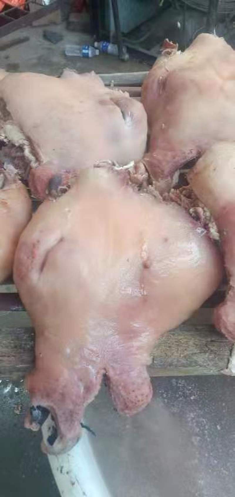 熟公牛头肉厂家直发可凉拌可涮锅