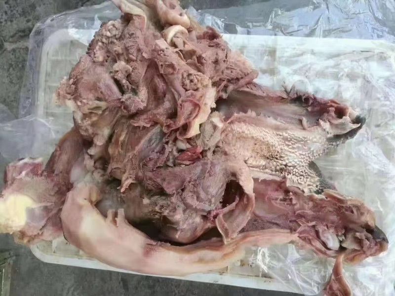 熟公牛头肉厂家直发可凉拌可涮锅