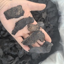 肉苁蓉选片新疆产地货源多种规格七彩百草中药材批发