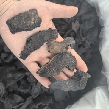 肉苁蓉选片新疆产地货源多种规格七彩百草中药材批发