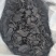 肉苁蓉选片新疆产地货源多种规格七彩百草中药材批发