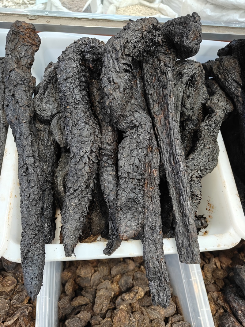 新疆肉苁蓉个整条肉苁蓉无硫蒸制甜大芸各种规格大小